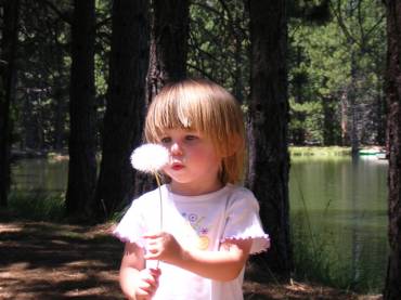 Evaluare IQ copii pentru supradotare